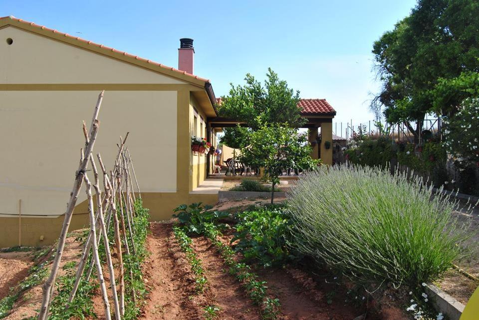 Apartamentos La Bodega Del Abuelo Bujalaro Eksteriør billede